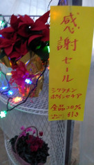 感謝セール開催中