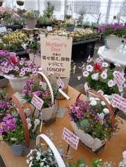 プレゼント用のバスケット👧💐