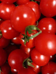 完熟ミニトマト🍅