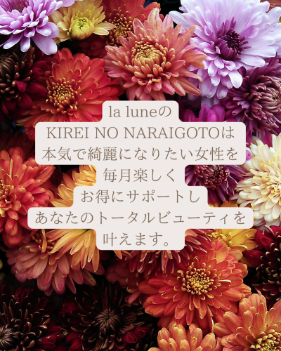 8E9D392D-8414-49C3-88E1-EB6A559B04DE.png