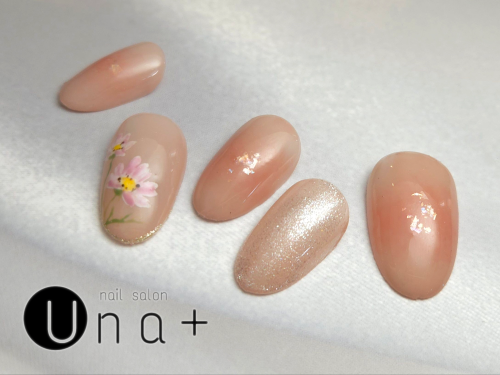 秋桜