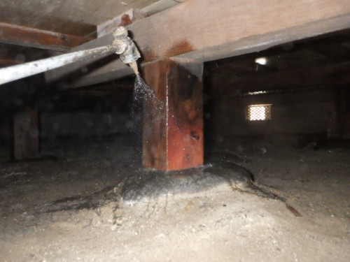 RIMG0768.JPG