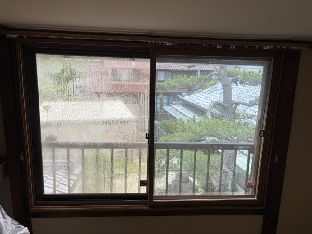 IMG_2460.jpeg