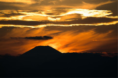 4E009094-A946-4FD7-B558-15046775A32B.jpeg