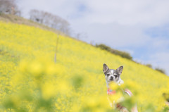 4A7DC183-5133-499F-81AA-4A8367FC5D5C.jpeg