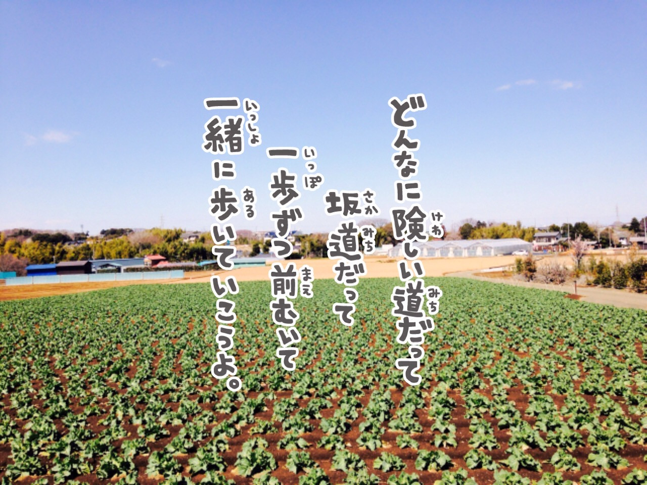 AA84C8CB-B45F-4007-89A6-FA9DF24BC483.jpeg