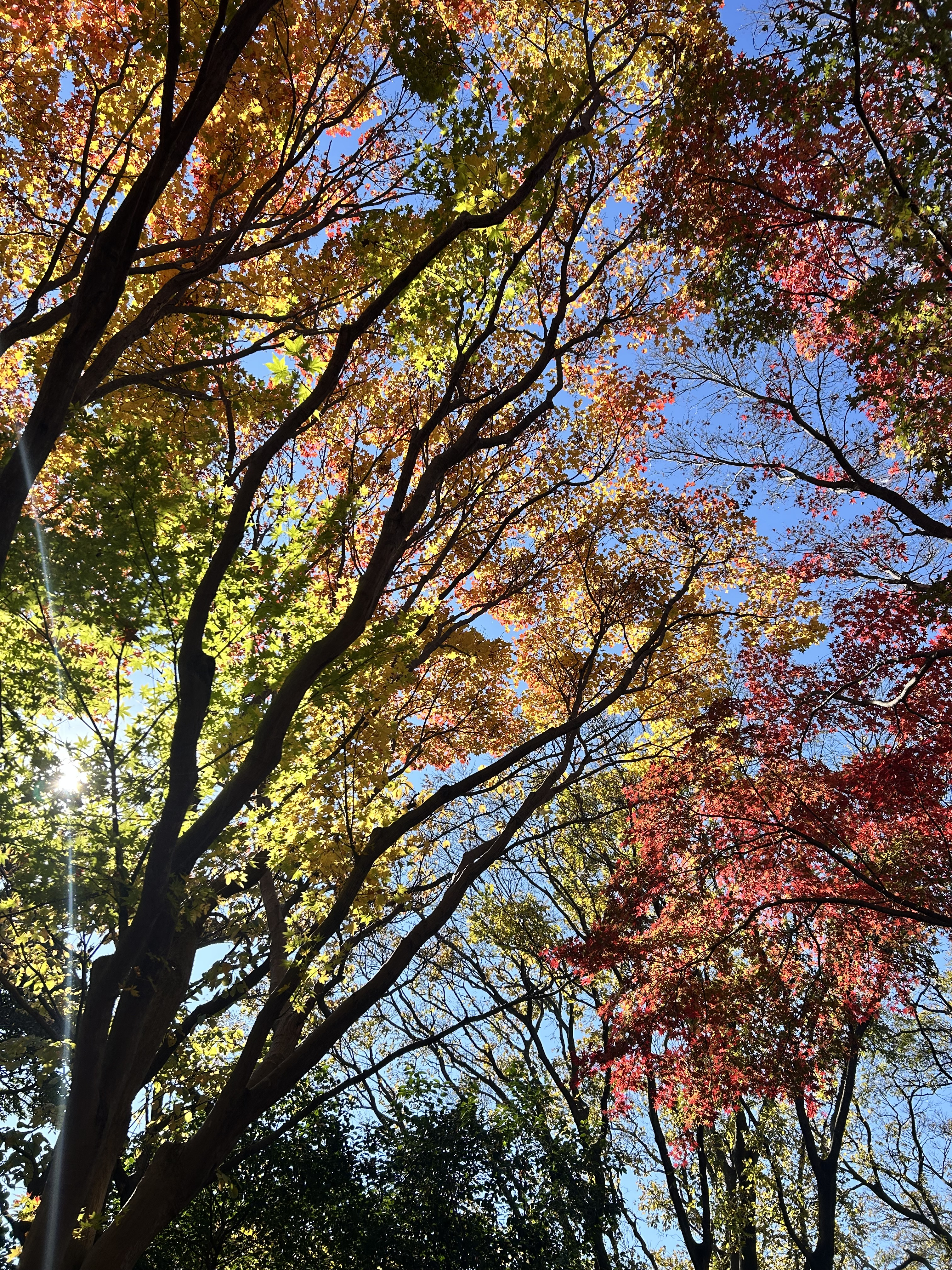 年末年始のお知らせ