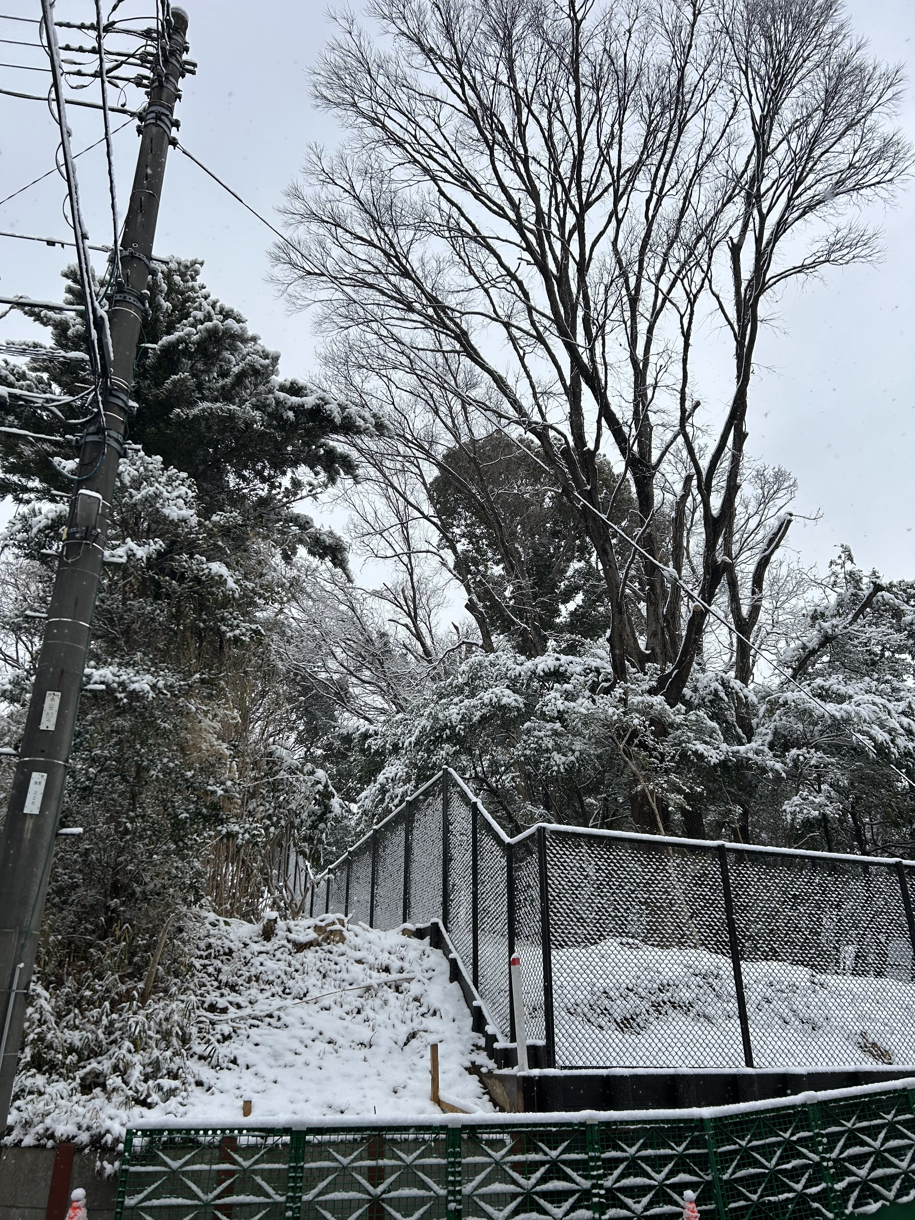 お休みのお知らせ