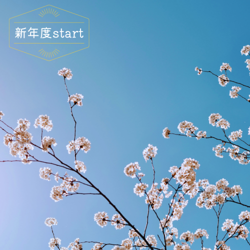 新年度start.png