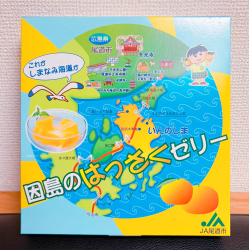 生徒さんからの頂きもの_中間さんからのお土産.JPG