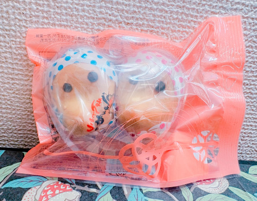 生徒さんからの頂きもの_塩崎さんからのお土産.JPG