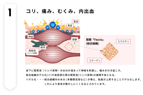 ①筋肉flow_01.png
