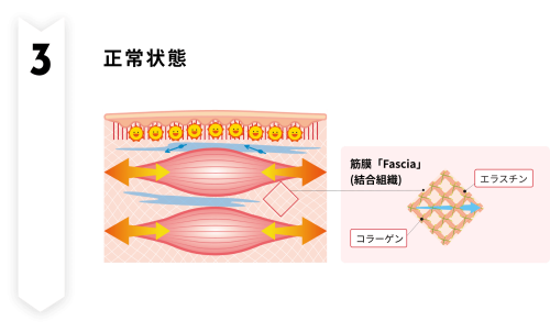 ③正常状態flow_03.png