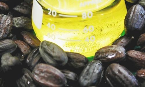 アンデス山脈麓にある農場で生産の100％ｵｰｶﾞﾆｯｸﾎﾎﾊﾞｵｲﾙを使用。ホホバの中でも優れており高品質です。