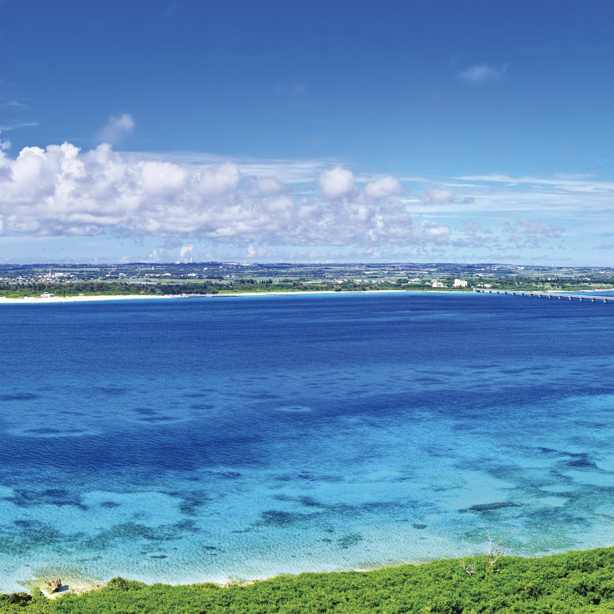 沖縄 / 沖縄県立博物館・美術館