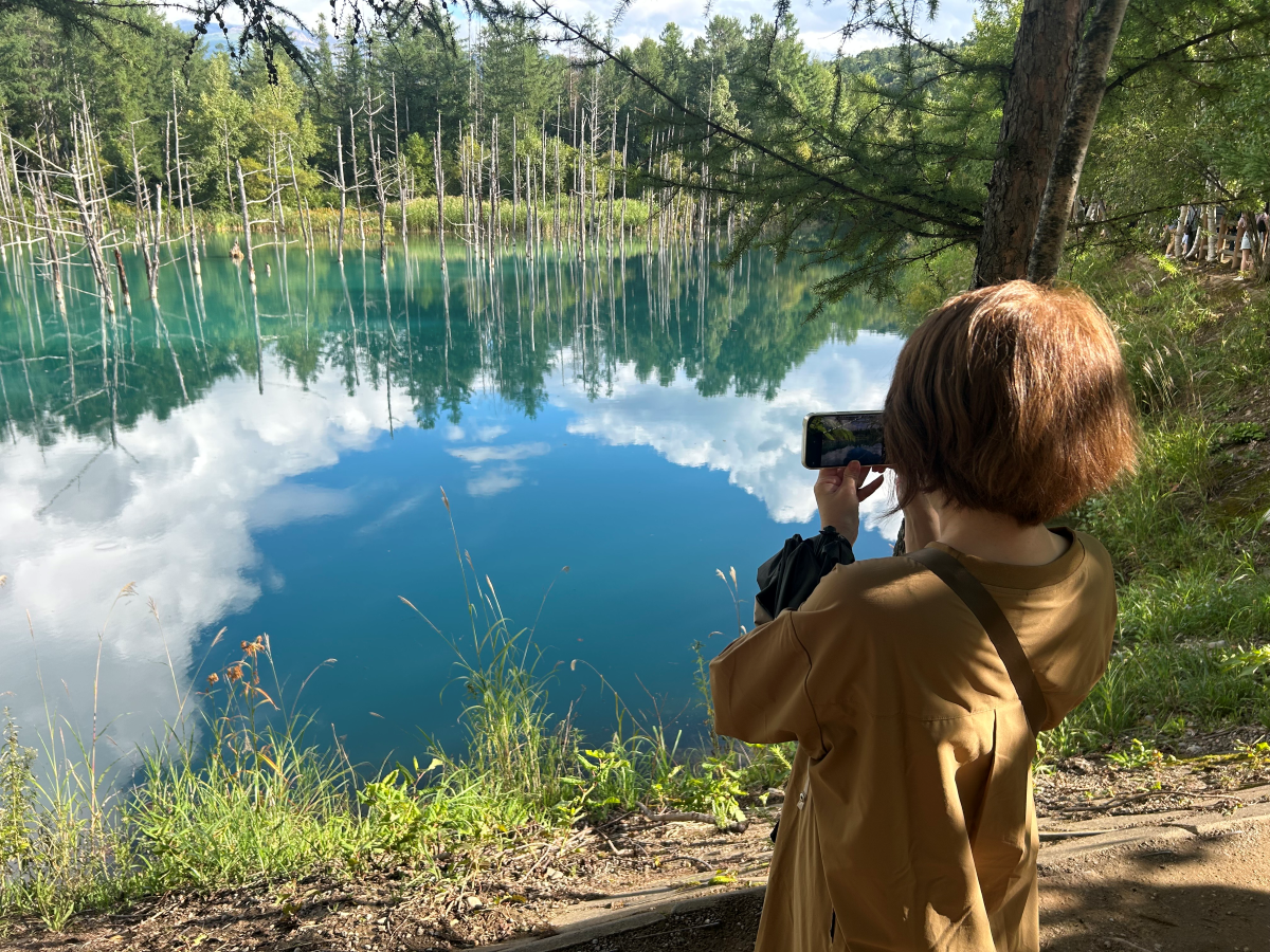 YADOCARRYで北海道旅 / 白金青い池
