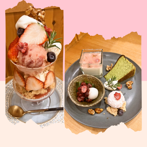  季節限定メニュー（3/7~）のご紹介