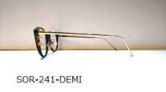 241demi横.jpg