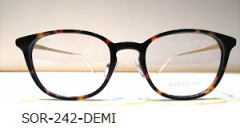 242demi.jpg