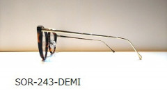 243demi横.jpg