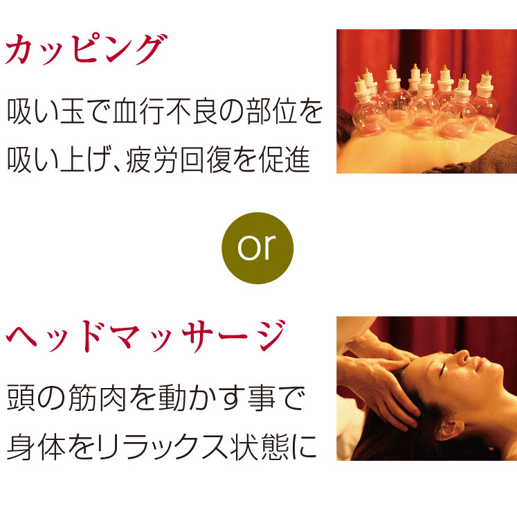オプション身体だけ.jpg