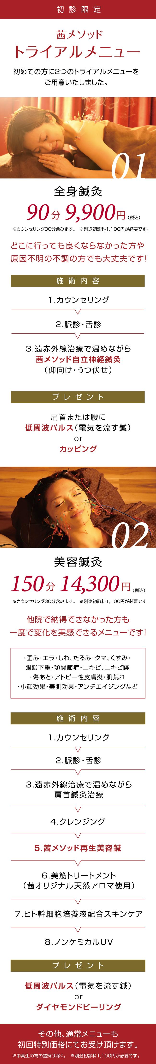トライアルメニュー_211024.jpg
