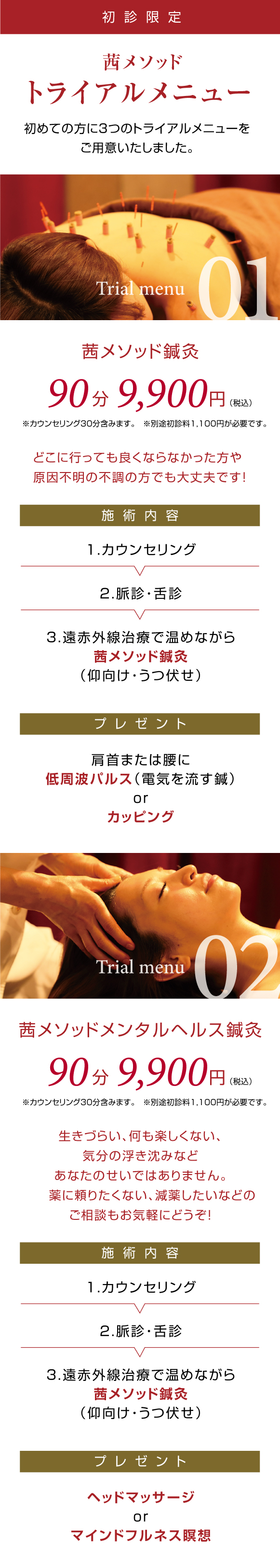 トライアルメニュー_220925_1.jpg