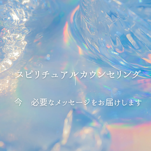 只今　11月　12月ご予約受付中☆