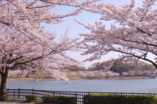 介護タクシーで伊予市や松山への外出をサポート～遠出希望の方は相談を～