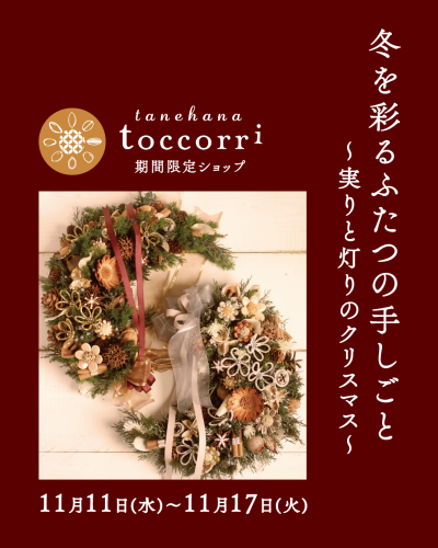 実りと灯りのクリスマスWEBtoccorri.png