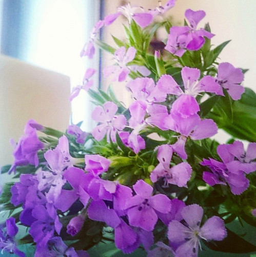 _20171017_221401.JPG