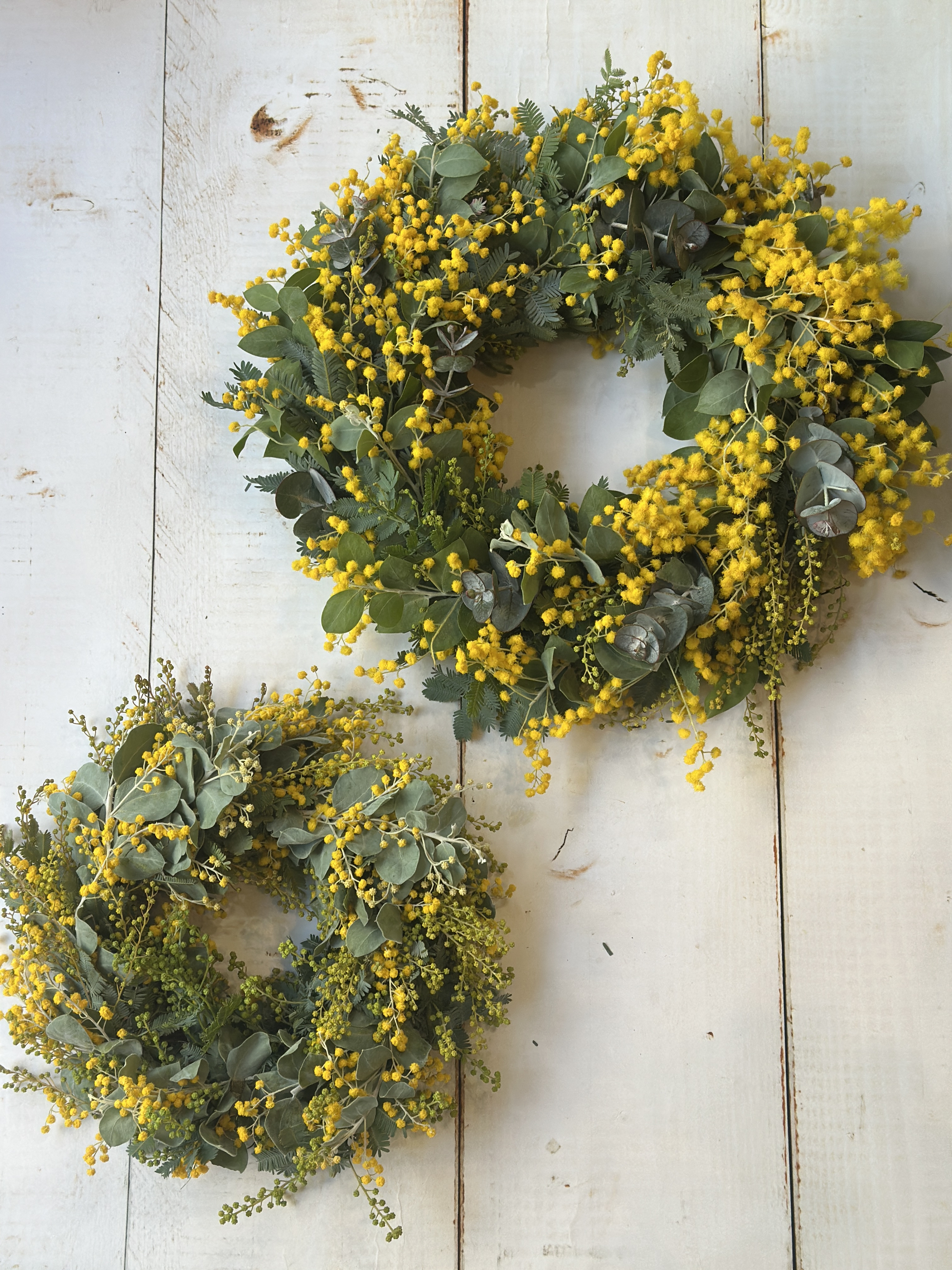 2月のマンスリーレッスンのお知らせ