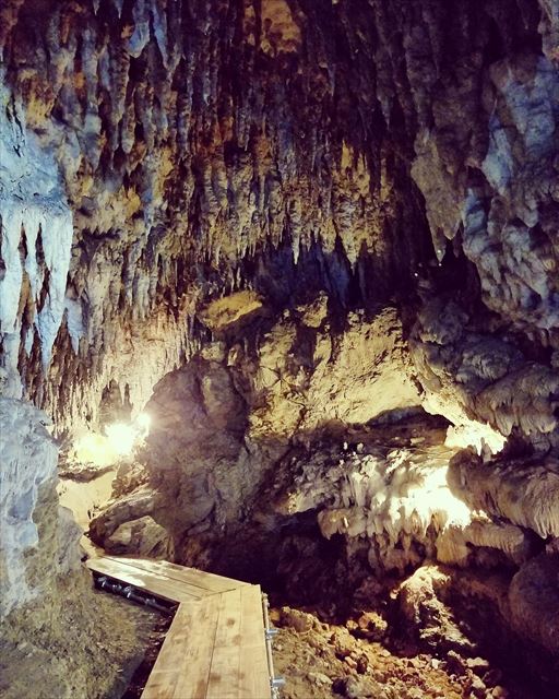 沖縄県の洞窟へ観光に訪れる際は人気のプランがある【CAVE OKINAWA】の利用を