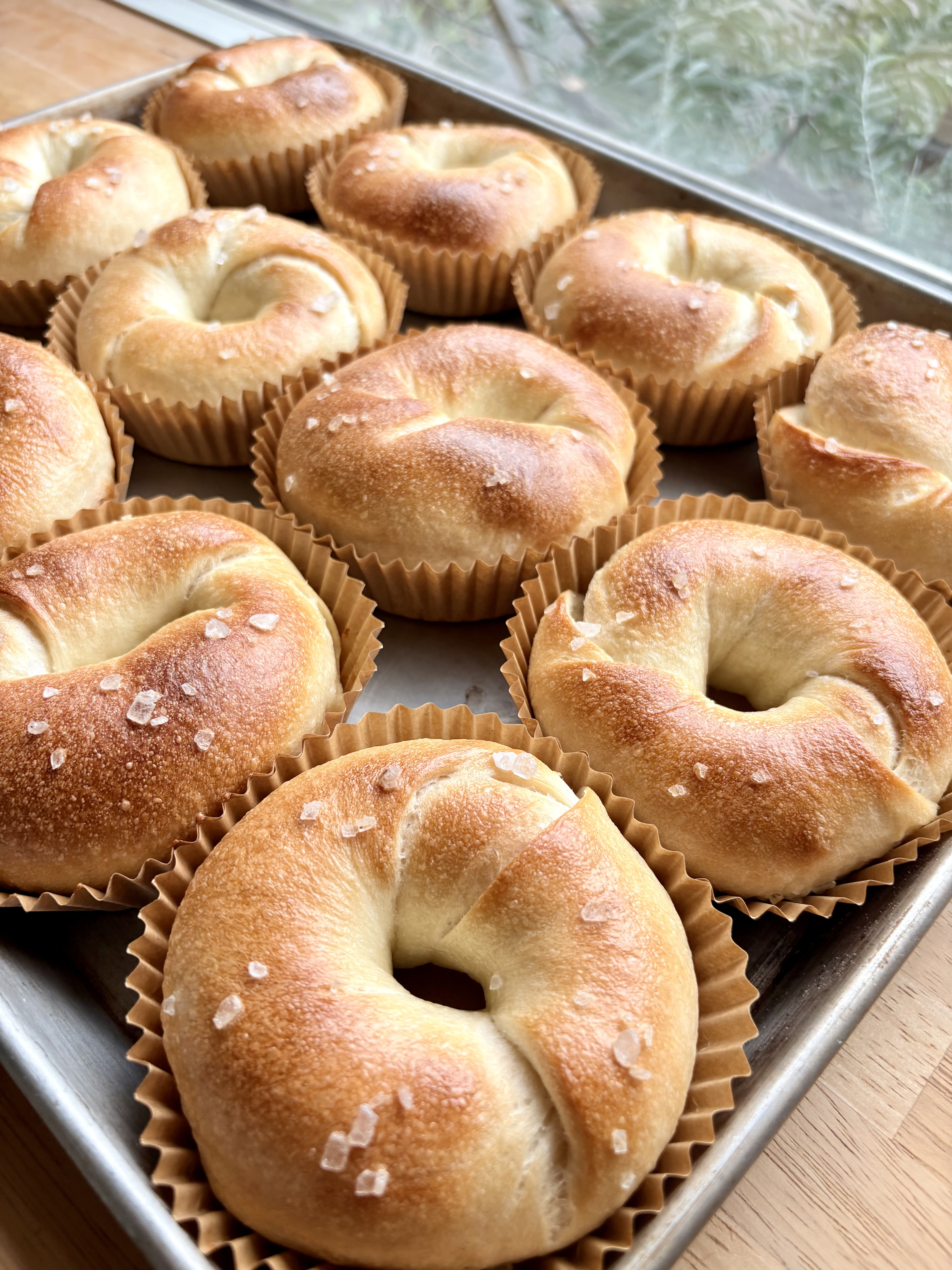 11月22日ラインナップ予定