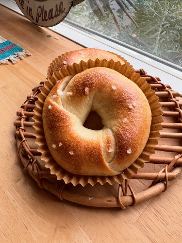 11月29日ラインナップ予定