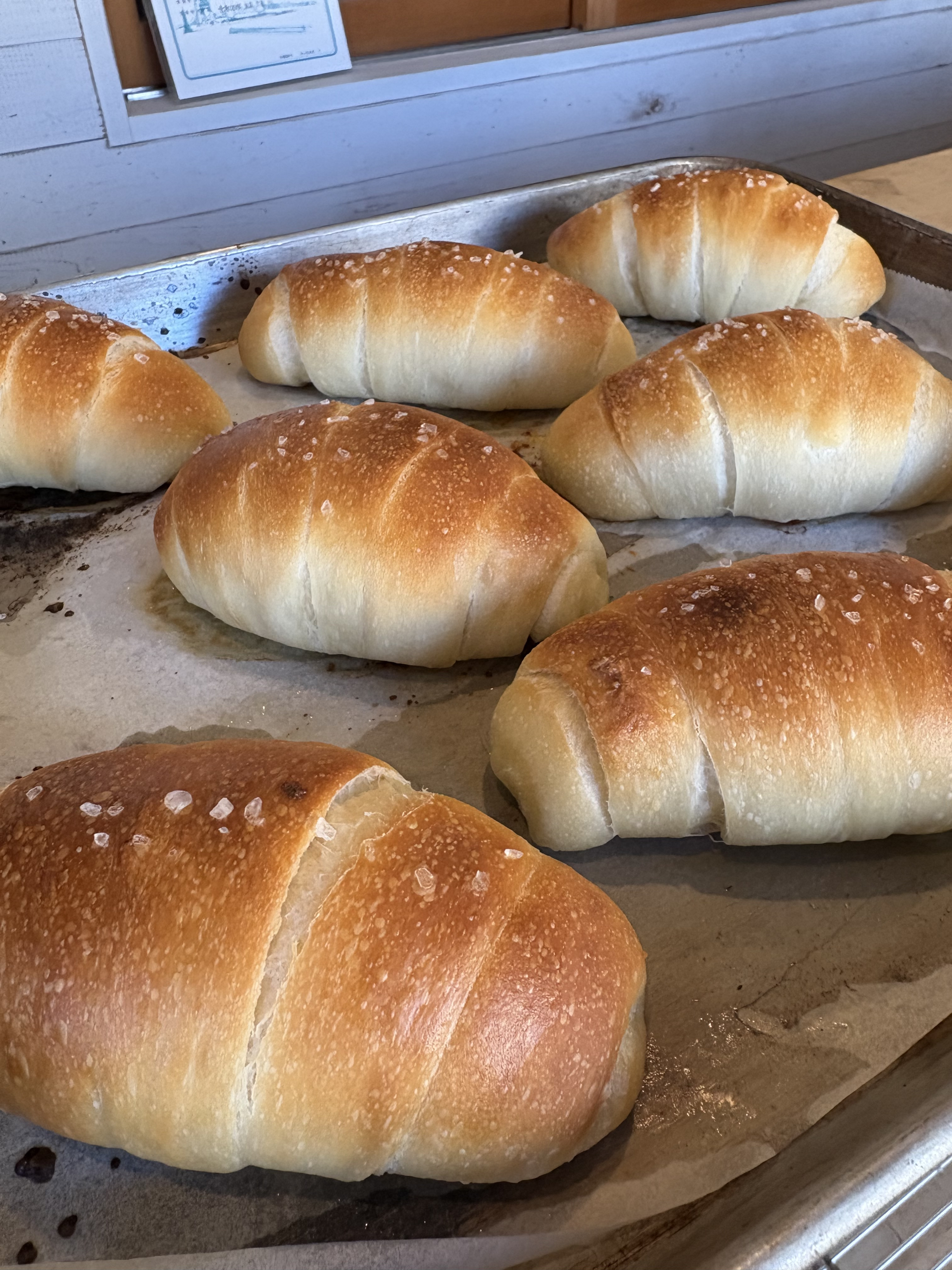 12月20日ラインナップ予定