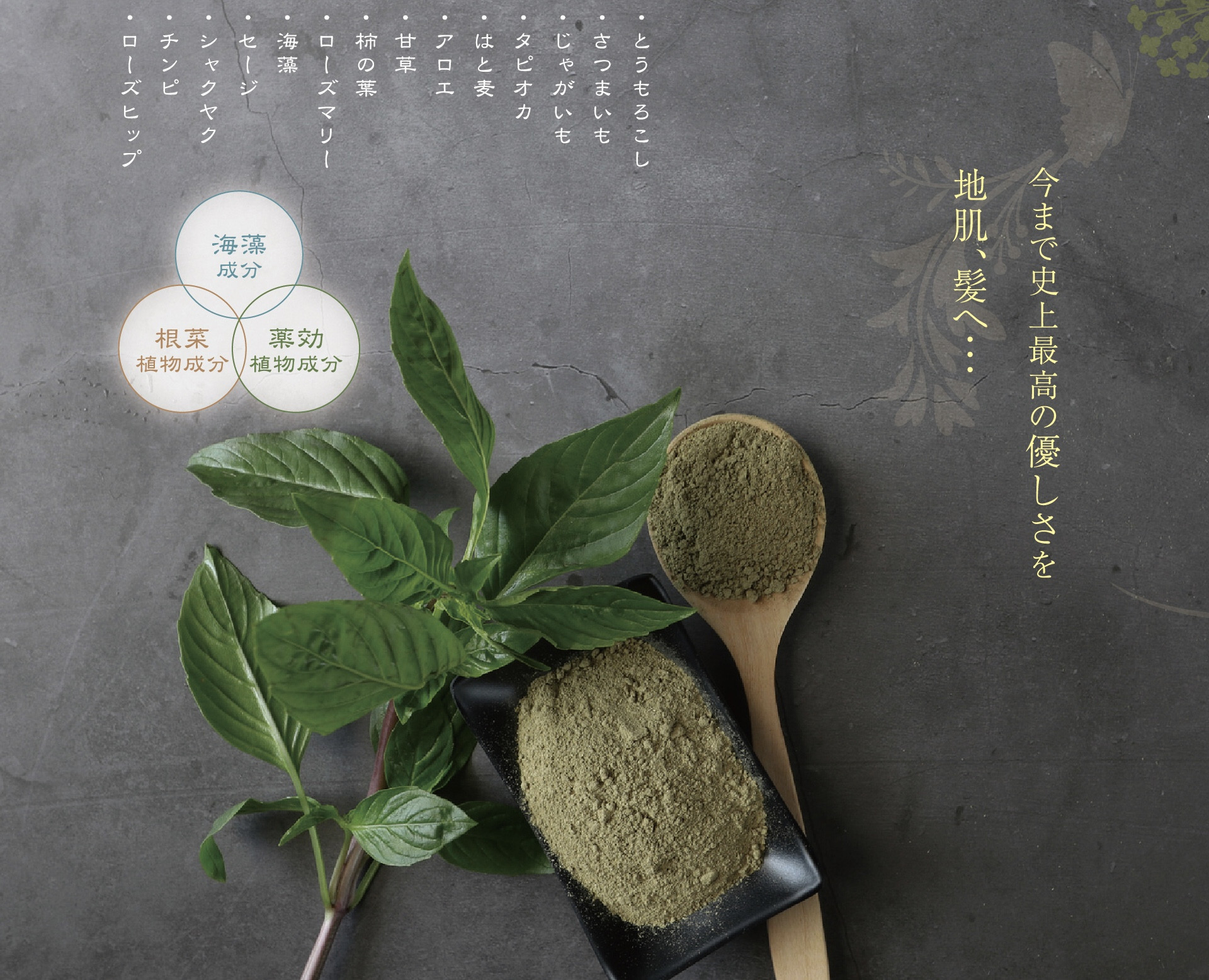 理美容室・サロン経営者様は、講習・資料等お気軽にホームページまたは公式ラインよりお問合せください