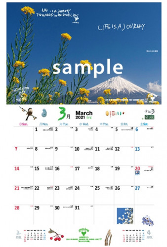 Screenshot_20201031-163453~2.png