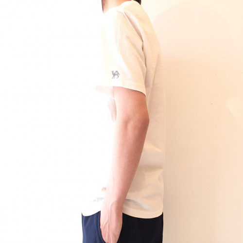 S__50003981.jpg