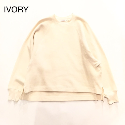 S__1589282.jpg