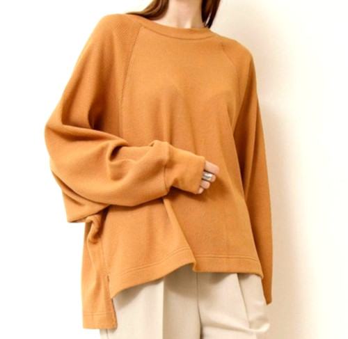 69819903b_b_19_500.jpg