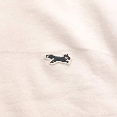 S__2097164.jpg