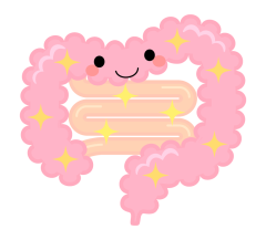 腸イラスト.png