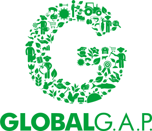 G_Logo_green_RGB.png