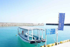 サンゴ礁の海から.jpg