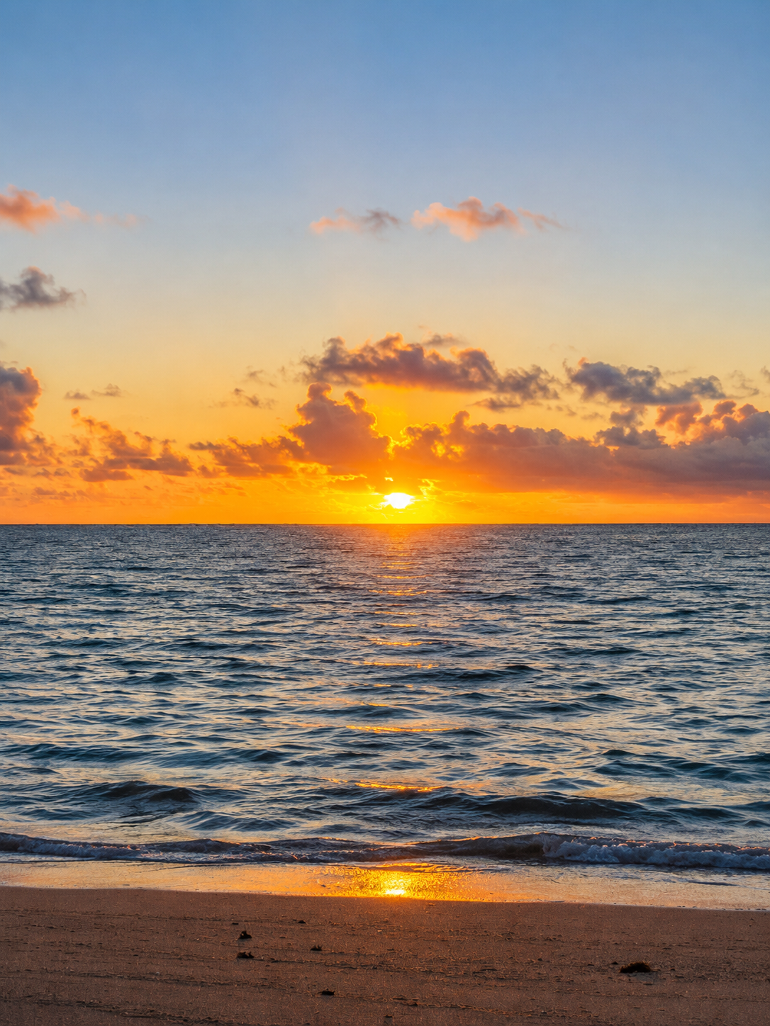 4B92A047-01C8-4802-992D-FF09B2E73F8A.png