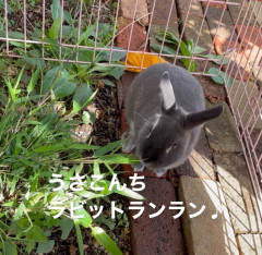 IMG_5925.jpeg