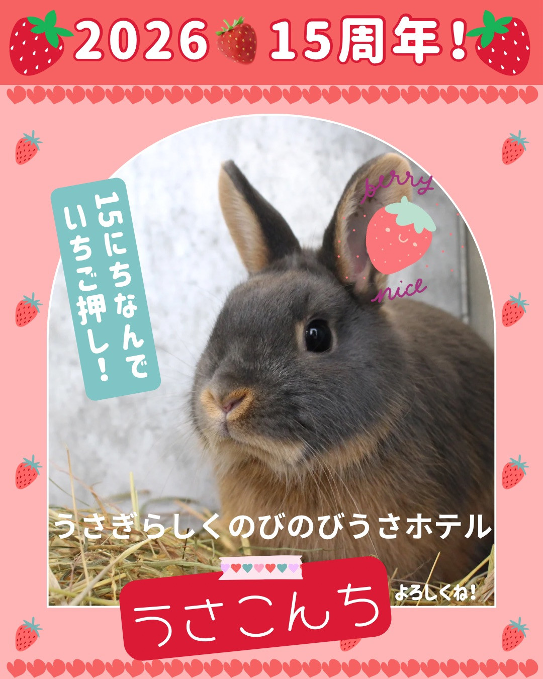 新年のご挨拶•15周年祭