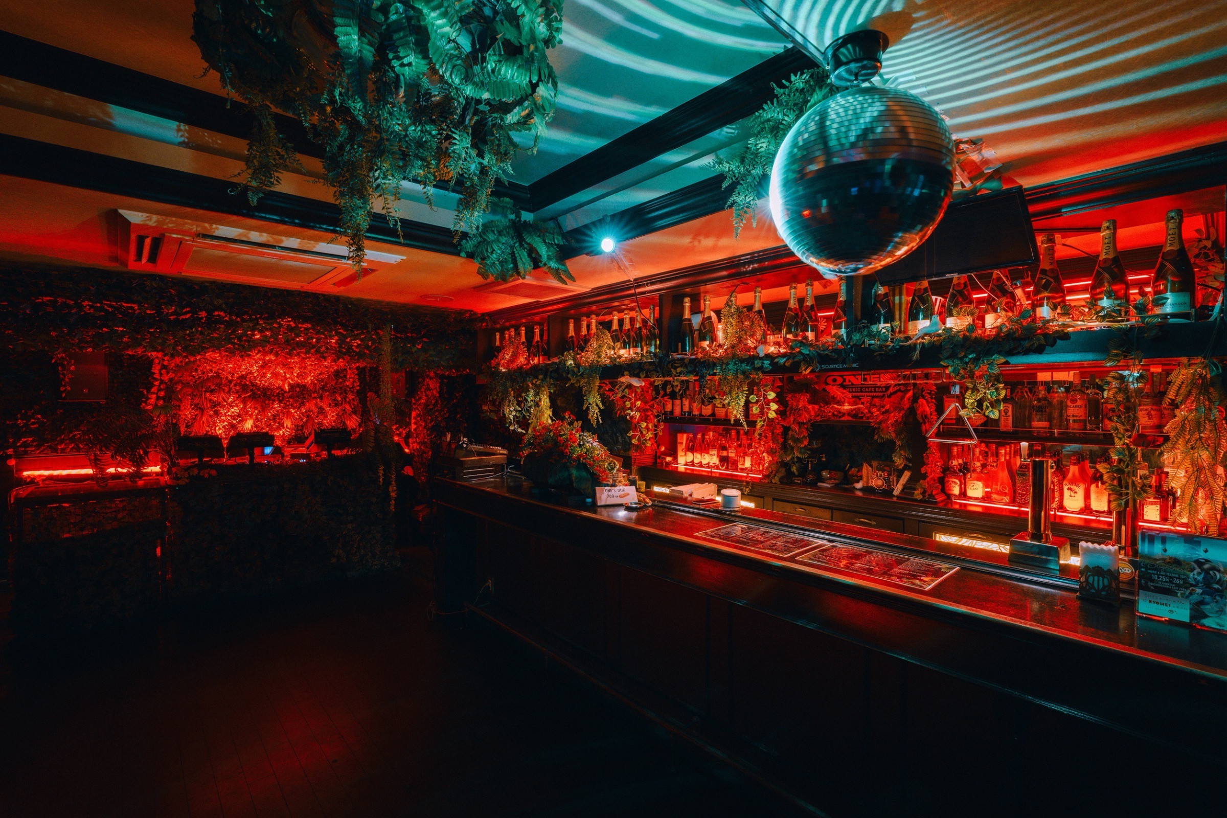BAR &amp; FLOOR