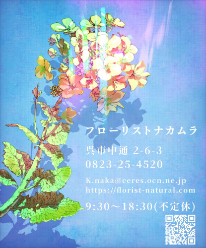 ショップカード　裏面